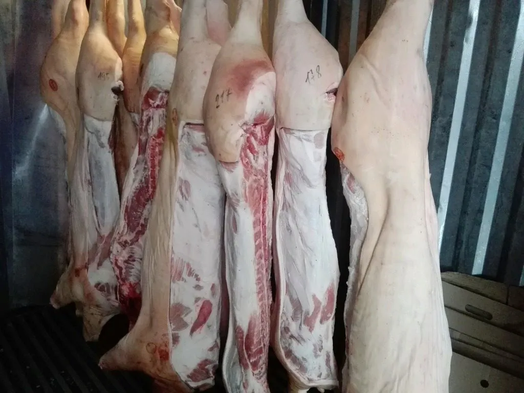 Фотография продукта Свинина  в полутушах. 191 р/кг