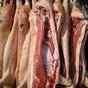 мясо свинины оптом  в Томске