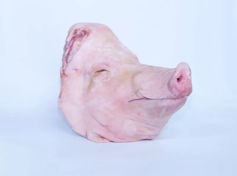 фотография продукта Головы свиные ограбленные
